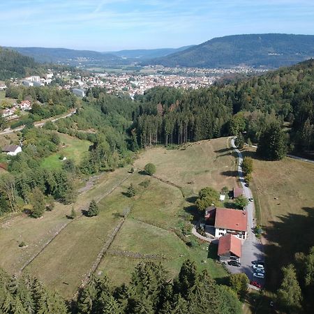 Chambre D'Hotes Kieffer Le Grand Bienfaisy Remiremont Kültér fotó