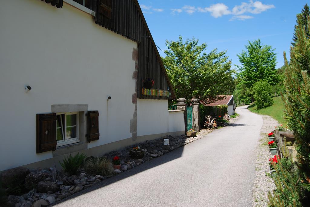 Chambre D'Hotes Kieffer Le Grand Bienfaisy Remiremont Kültér fotó